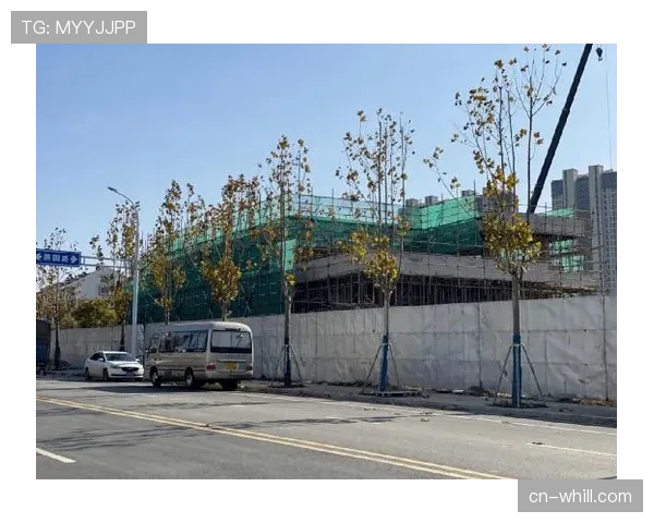 普鲁士公园球场改造接近完工，新铺设草皮旨在提升边路传球速度与精度